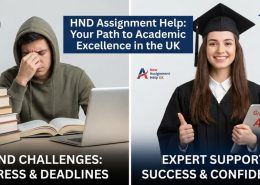 Why do students need HND assignment help?