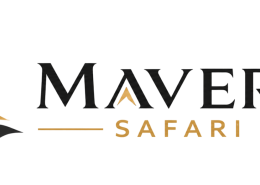 How do you choose a reliable desert safari company in Dubai?